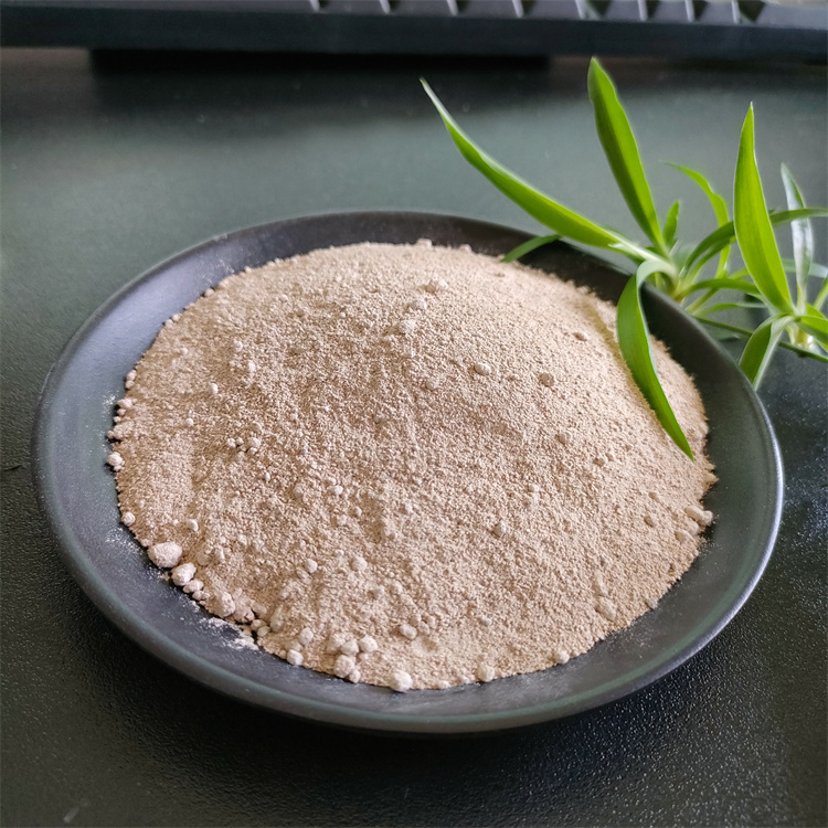 硝化菌圖片 硝化菌圖片